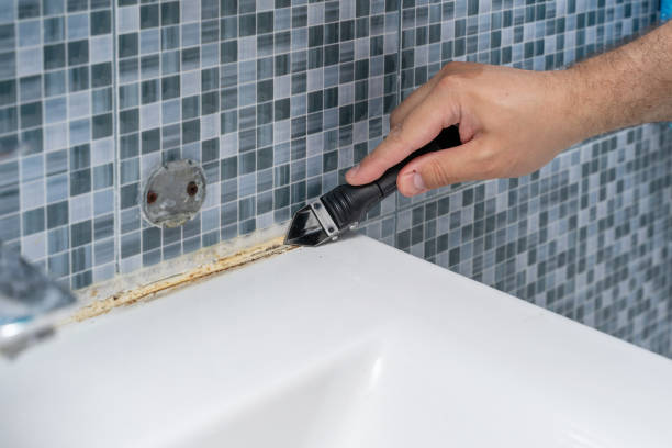 Best Best Mold Removal Companies  in Portage, MI